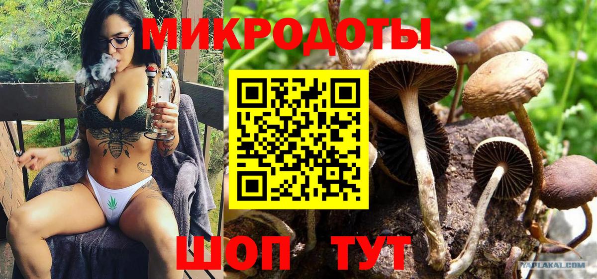 где найти наркотики  Галлюциногенные грибы прущие грибы  Галлюциногенные грибы MAGIC MUSHROOMS  Вход с VPN  Светлоград 
